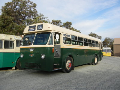 Mtt 591 leyalnd worldmaster ert1 1 whiteman pk 11 12 10