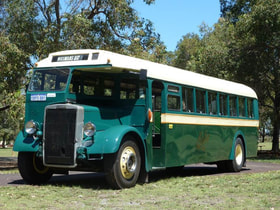 1949 leyland tiger metro bus 81